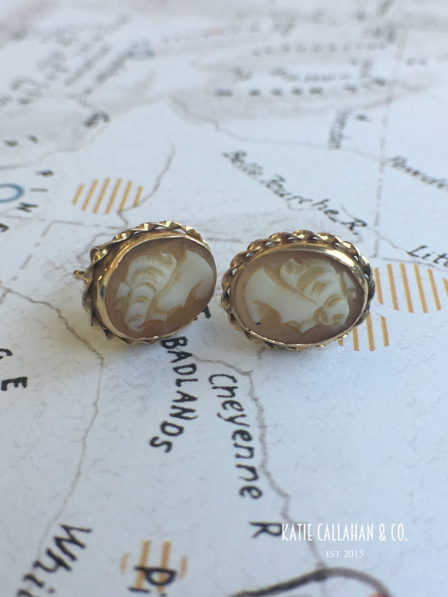 Retro 14kt Yellow Gold Shell Cameo Earrings (Vintage)
